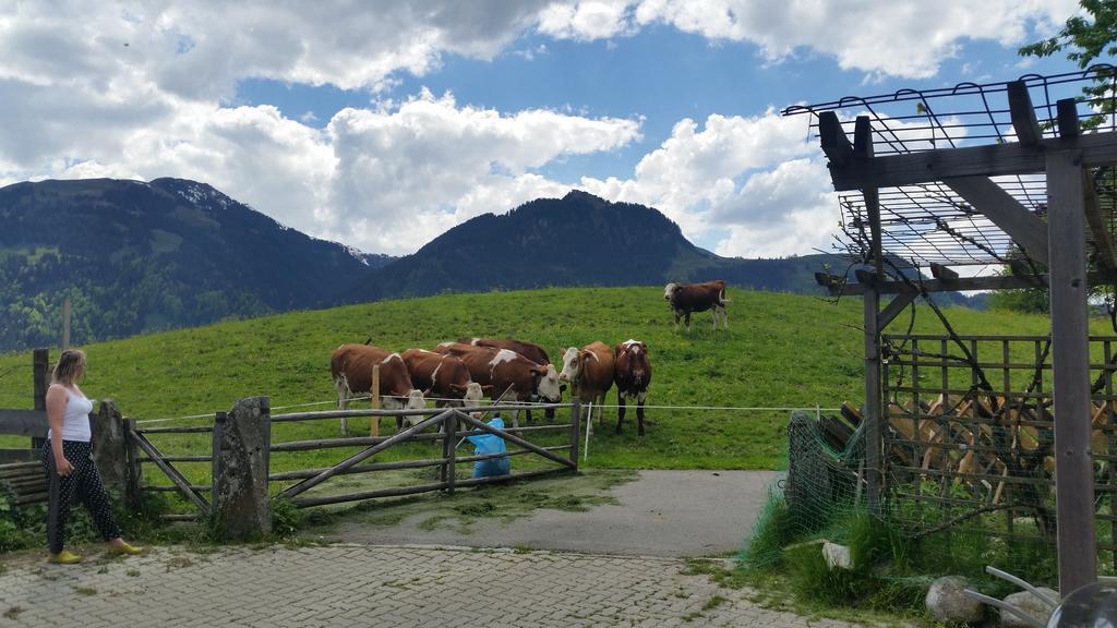 Appartements Berger Kitzbuehel Zewnętrze zdjęcie